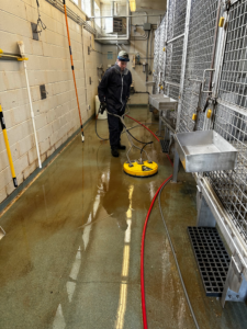 Animal Enclosure Cleaning